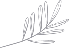 background leaf