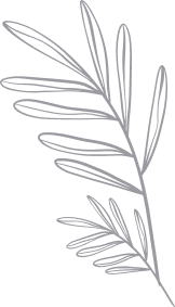 background leaf